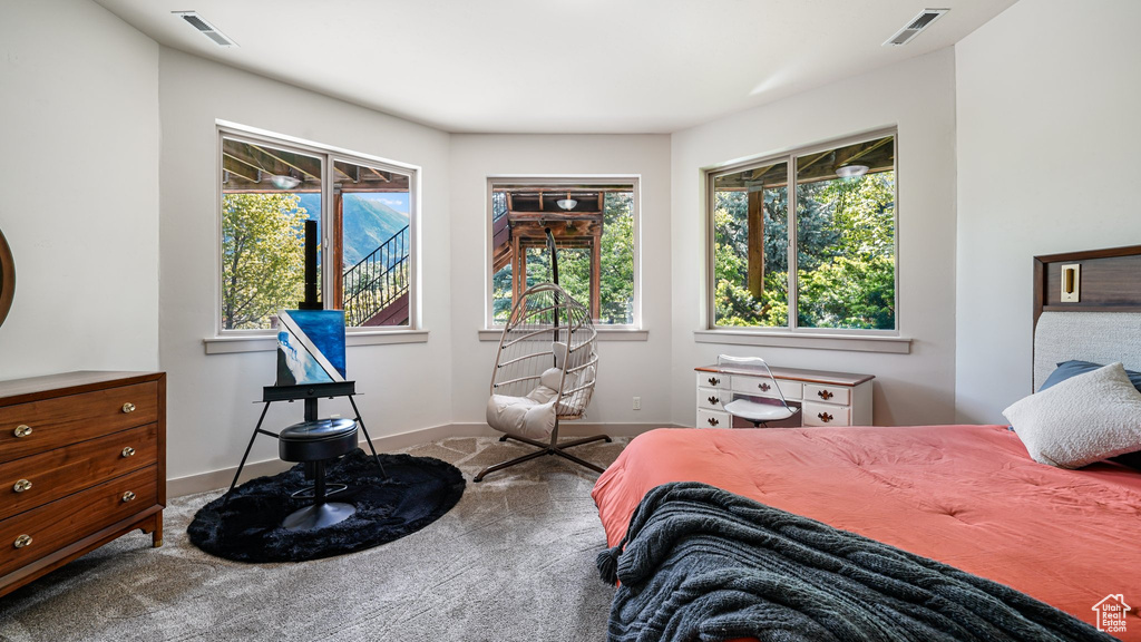 Carpeted bedroom featuring multiple windows and baseboards