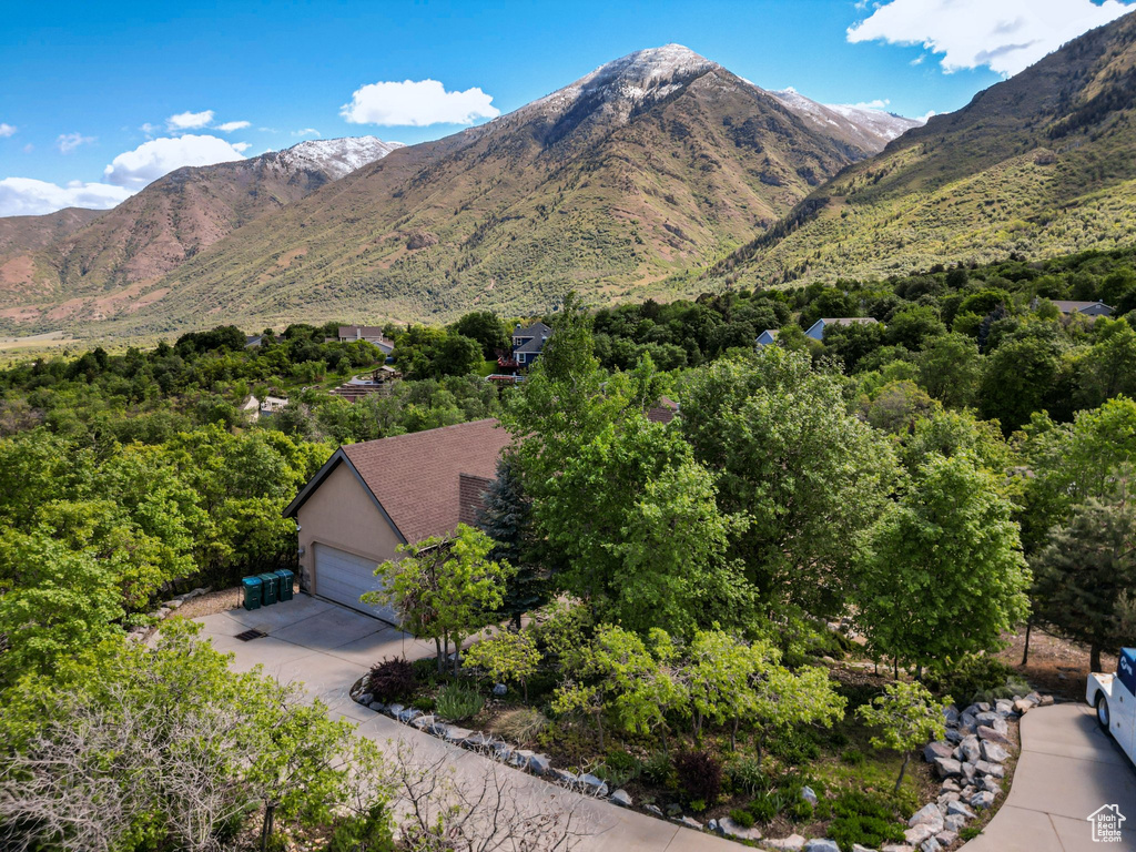 View of mountain background