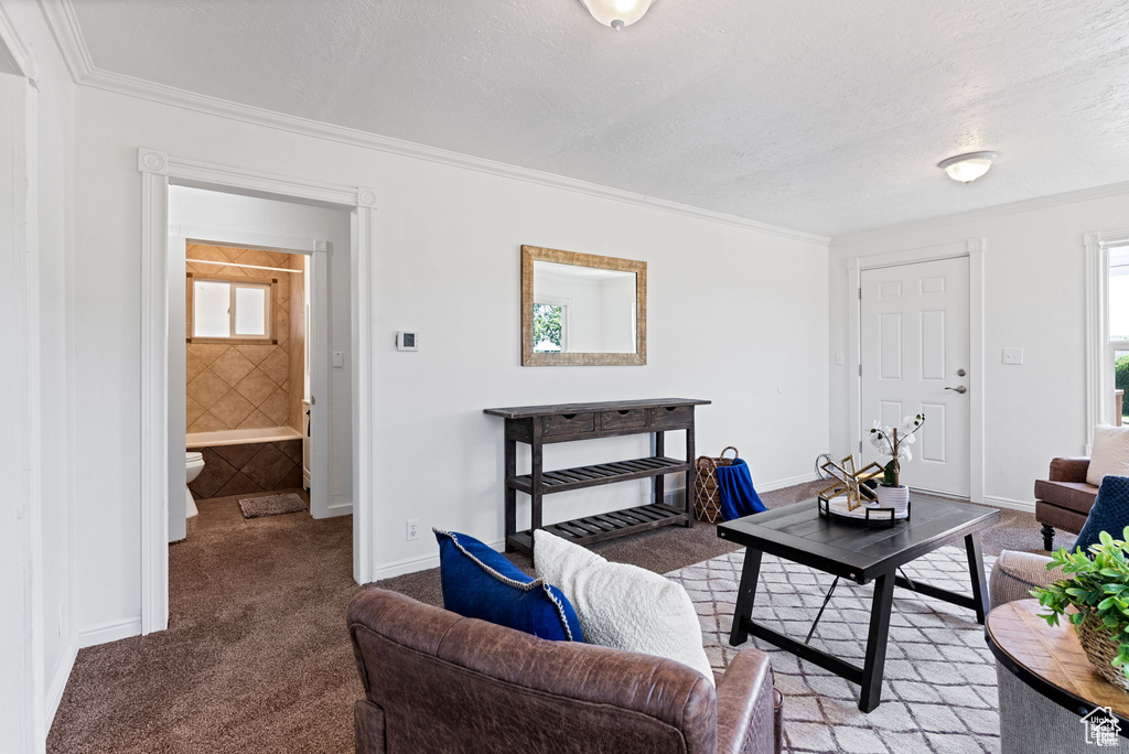 Living room with carpet, ornamental molding, plenty of natural light, baseboards, and a textured ceiling