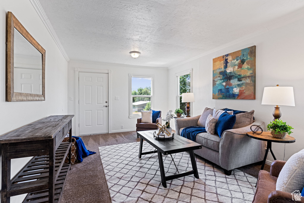 Living room featuring crown molding, a textured ceiling, light carpet, and baseboards