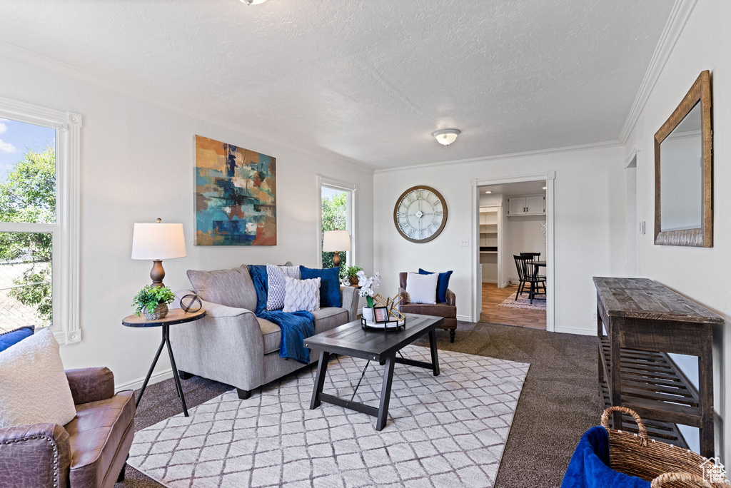 Living room with light colored carpet, baseboards, crown molding, and a textured ceiling