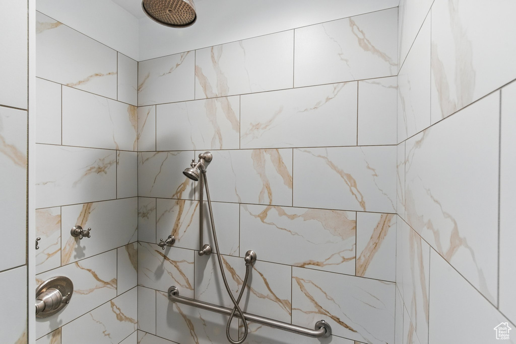 Interior details with tiled shower