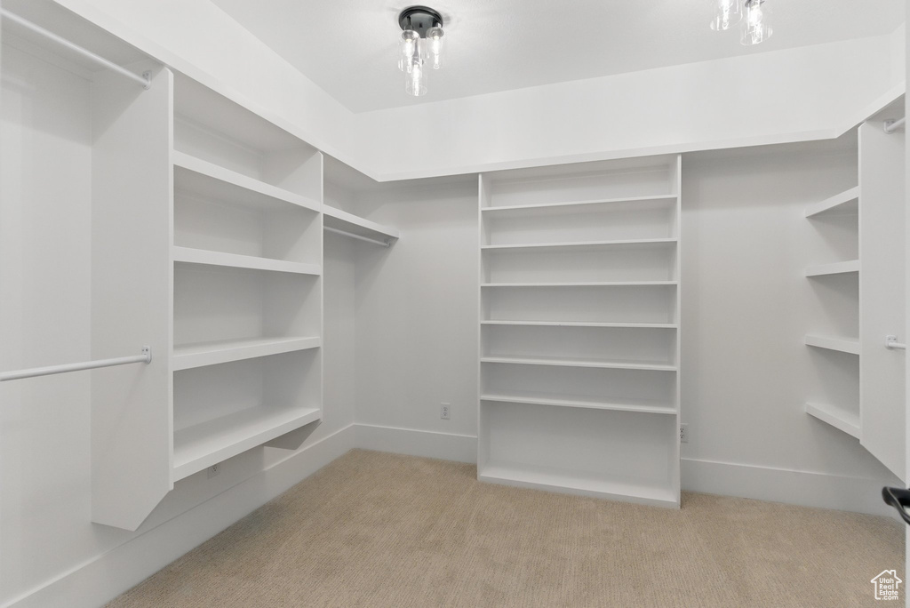 Walk in closet featuring carpet floors