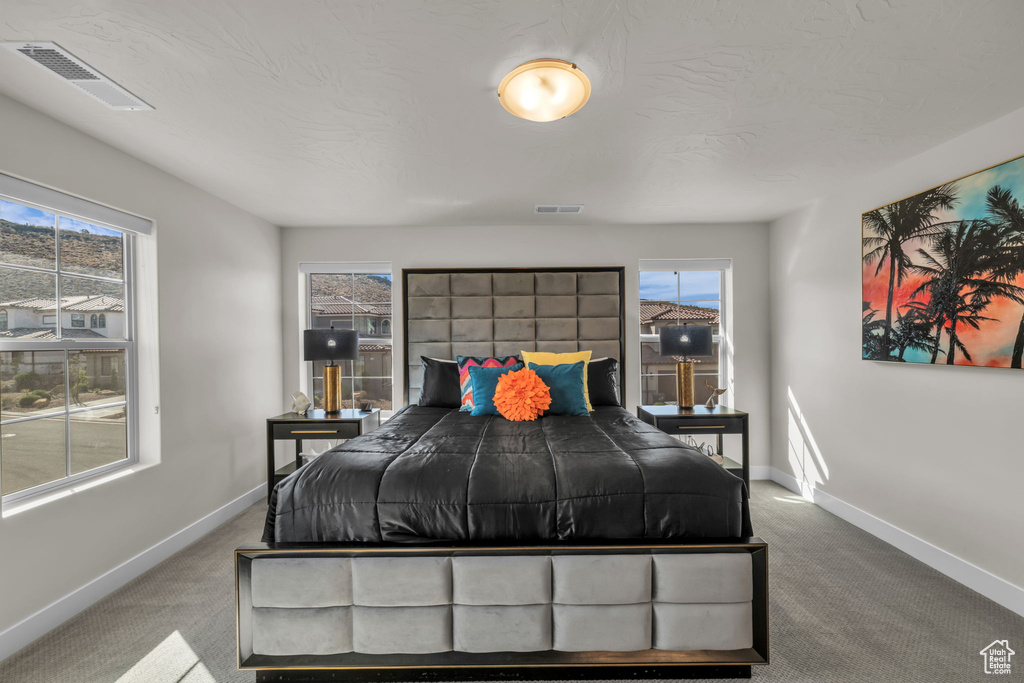 Carpeted bedroom with baseboards and multiple windows