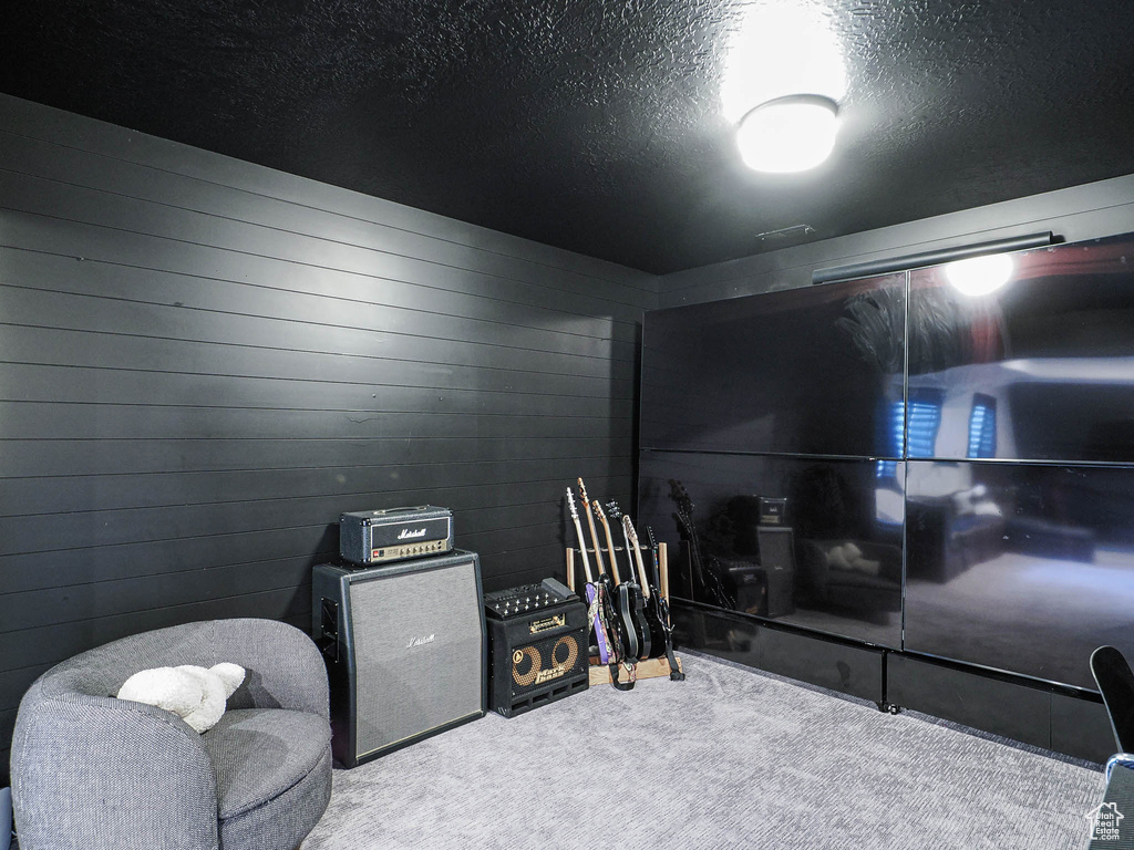 Sitting room with carpet flooring and a textured ceiling