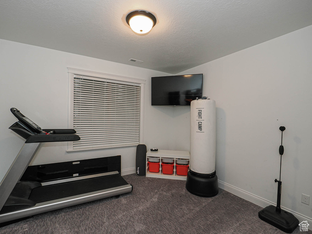 Workout area with carpet, baseboards, and a textured ceiling