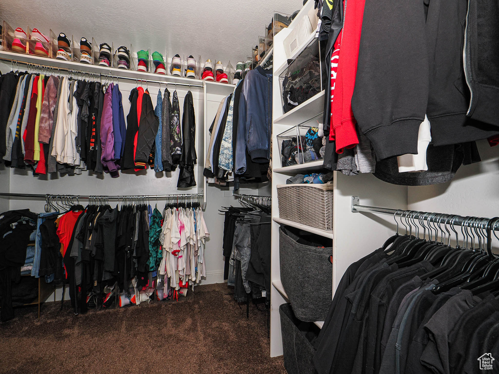 Spacious closet with carpet flooring