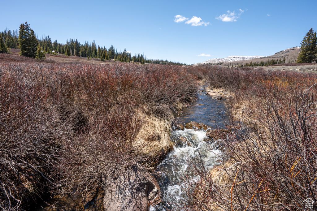 View of undeveloped land