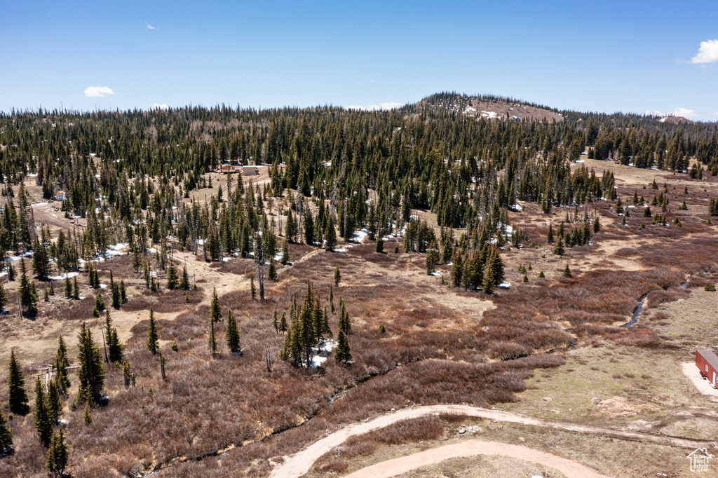 Mountain view featuring a forest
