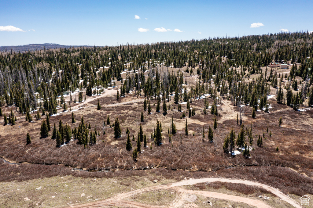 View of property location with a forest