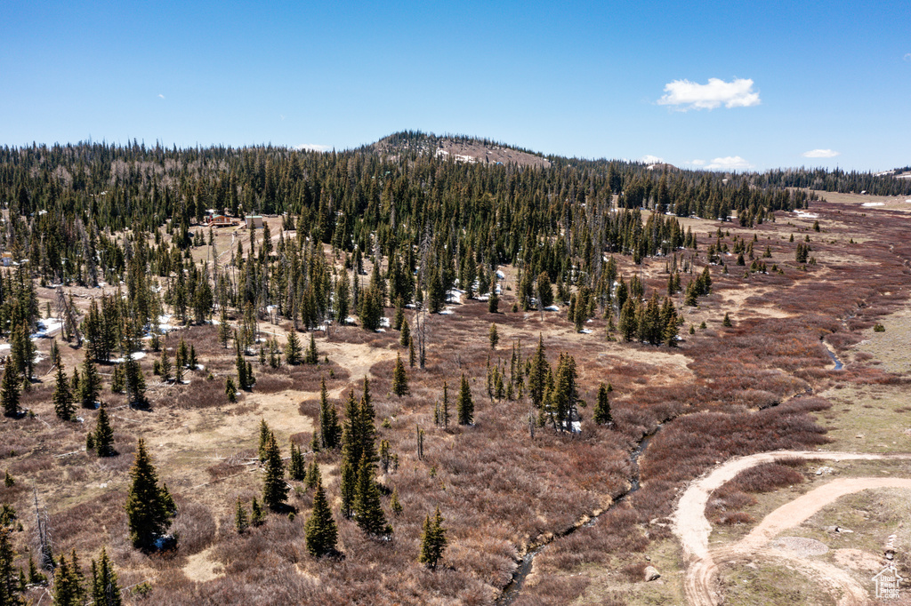 View of mountain background