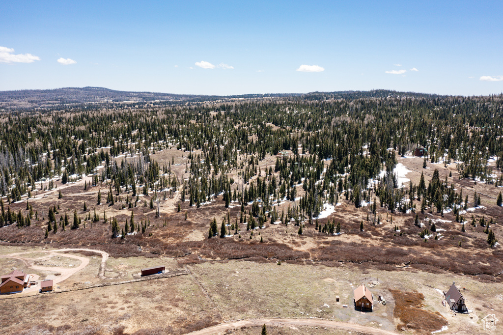 View of mountain background featuring a heavily wooded area