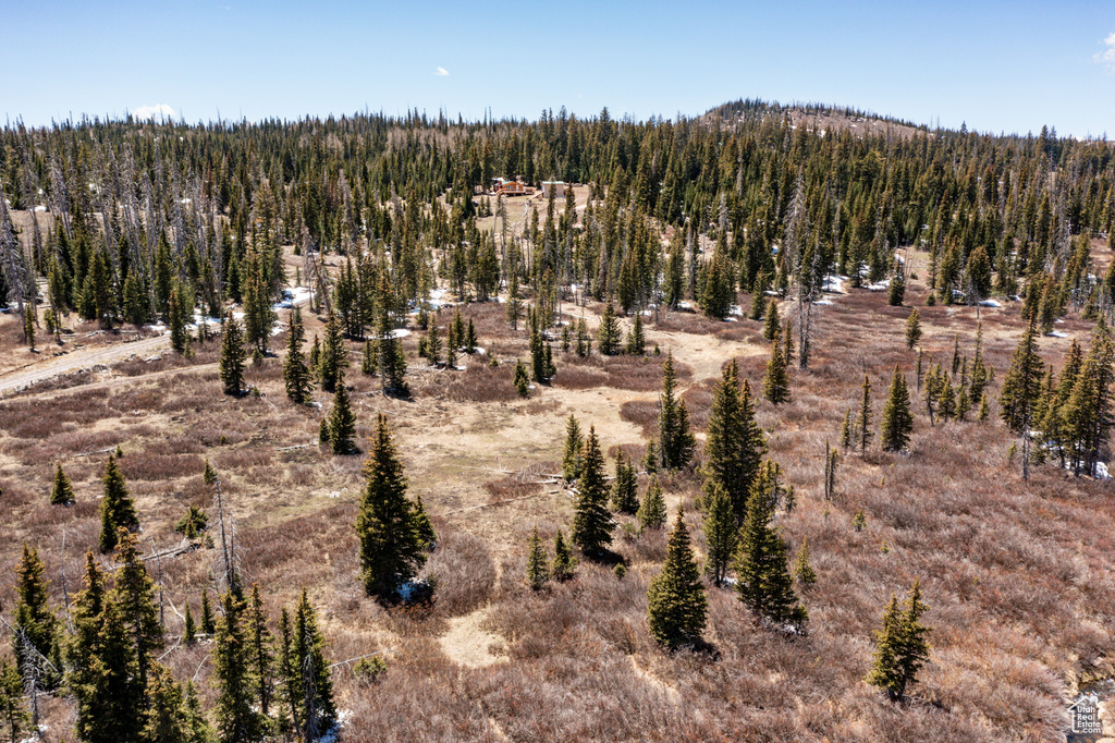 View of mountain backdrop featuring a forest