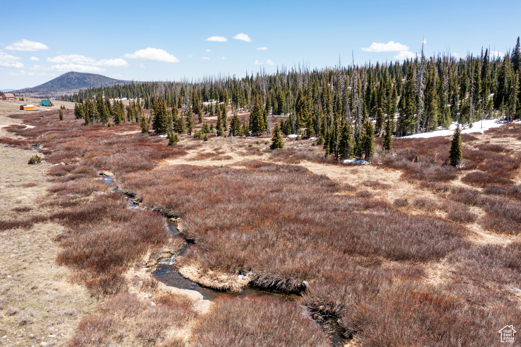 View of mountain background