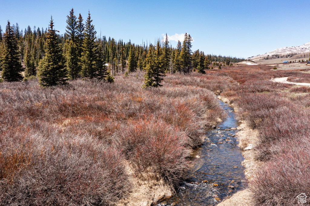 View of undeveloped land