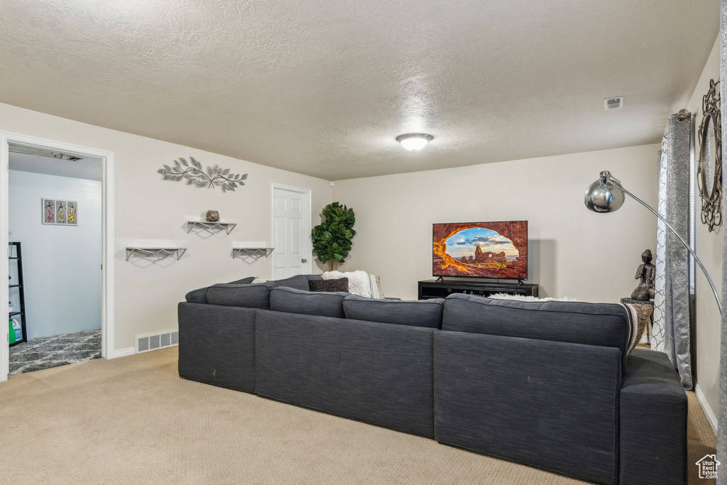 Living area with carpet floors, a textured ceiling, and baseboards