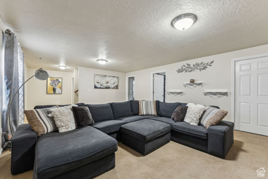 Living area with light colored carpet and a textured ceiling