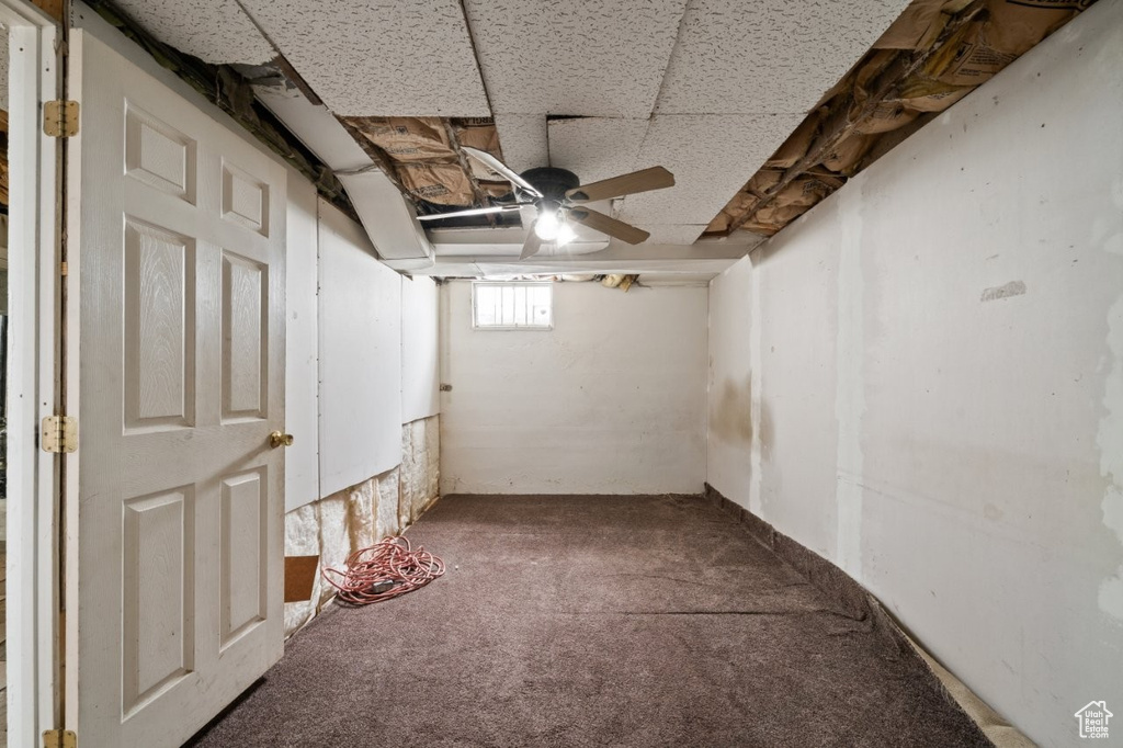 Below grade area featuring carpet and a drop ceiling