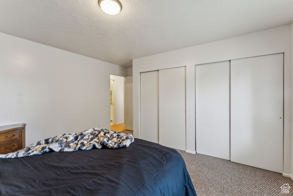 Bedroom with two closets and light carpet