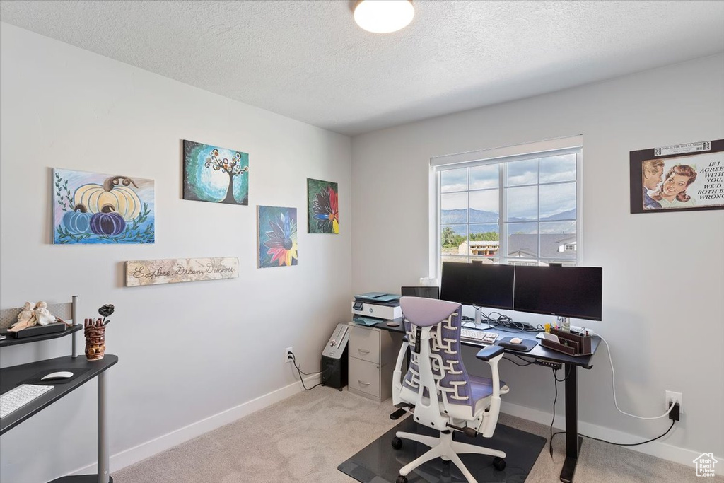 Office with light carpet, baseboards, and a textured ceiling