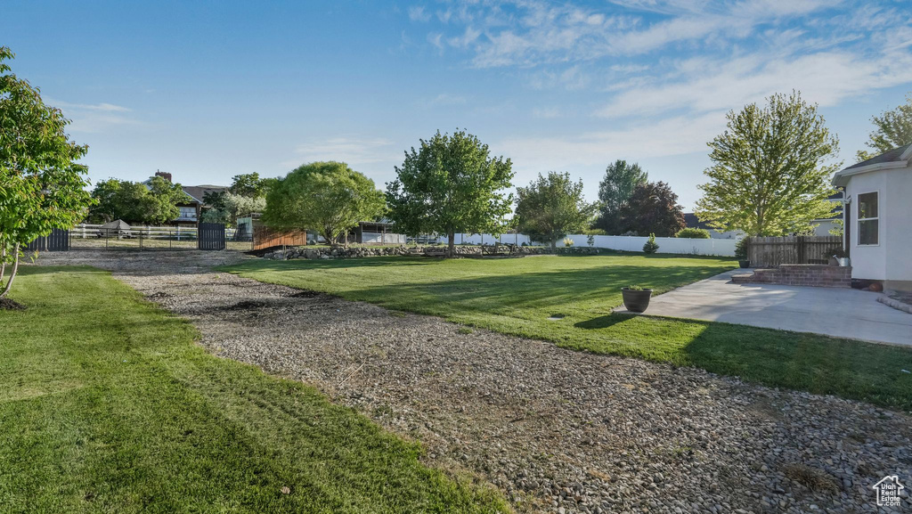 View of yard featuring a patio