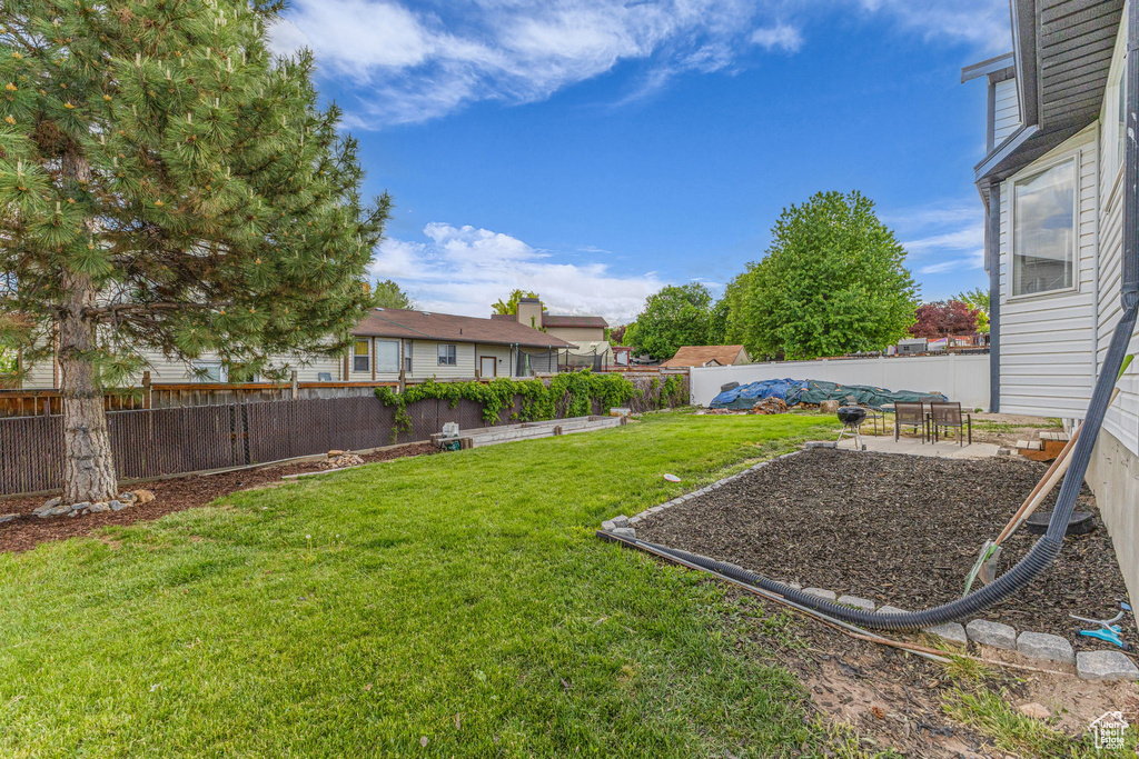 View of yard with a patio and a vegetable garden