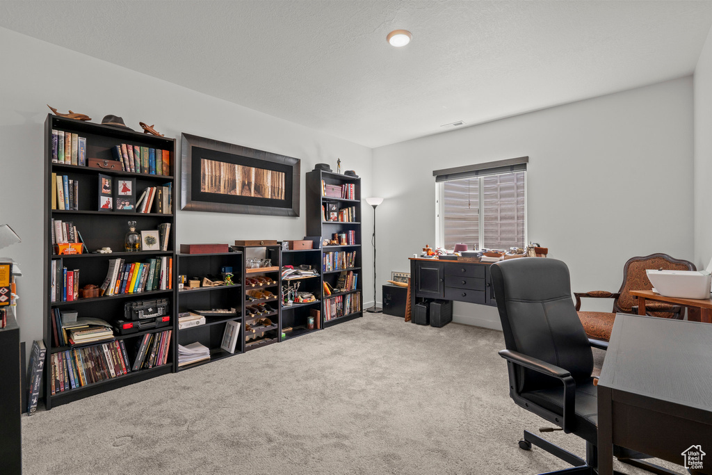 View of carpeted office space