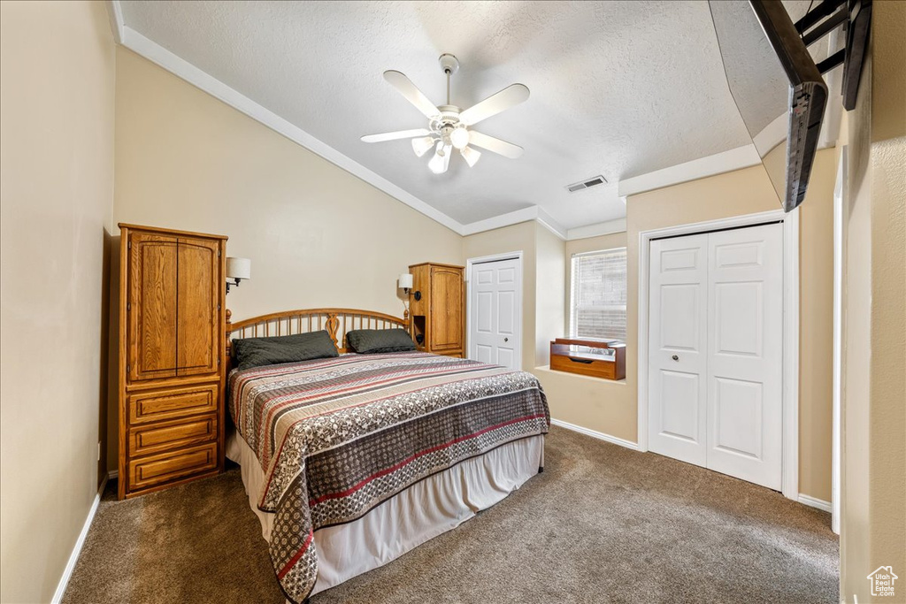 Bedroom with vaulted ceiling, ornamental molding, dark carpet, two closets, and a textured ceiling