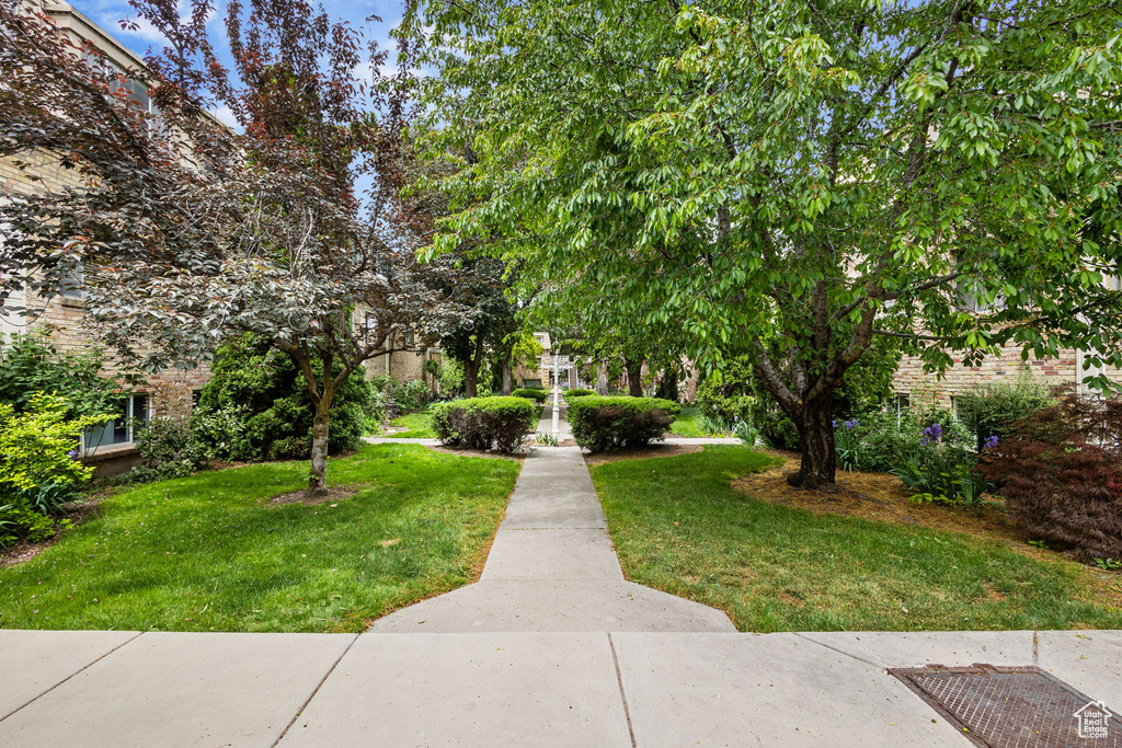View of community with a lawn