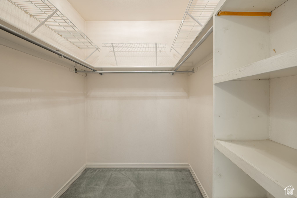 Walk in closet featuring carpet flooring