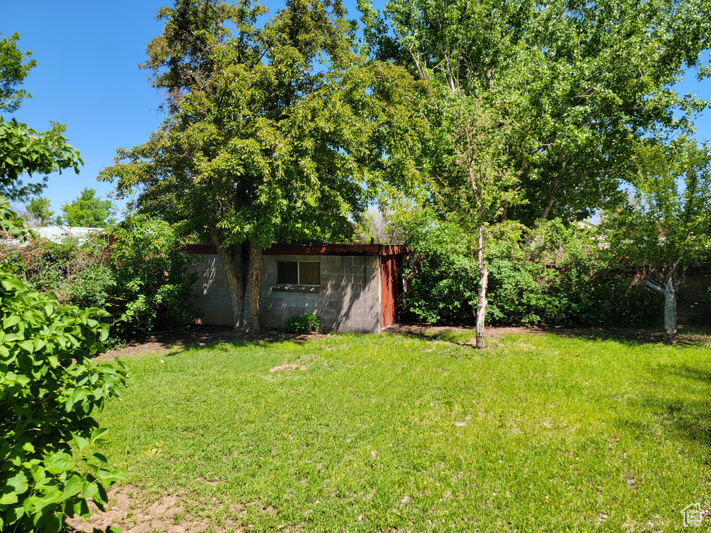 View of grassy yard featuring an outdoor structure