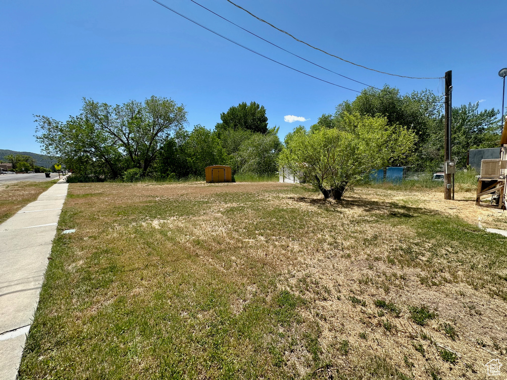 View of grassy yard