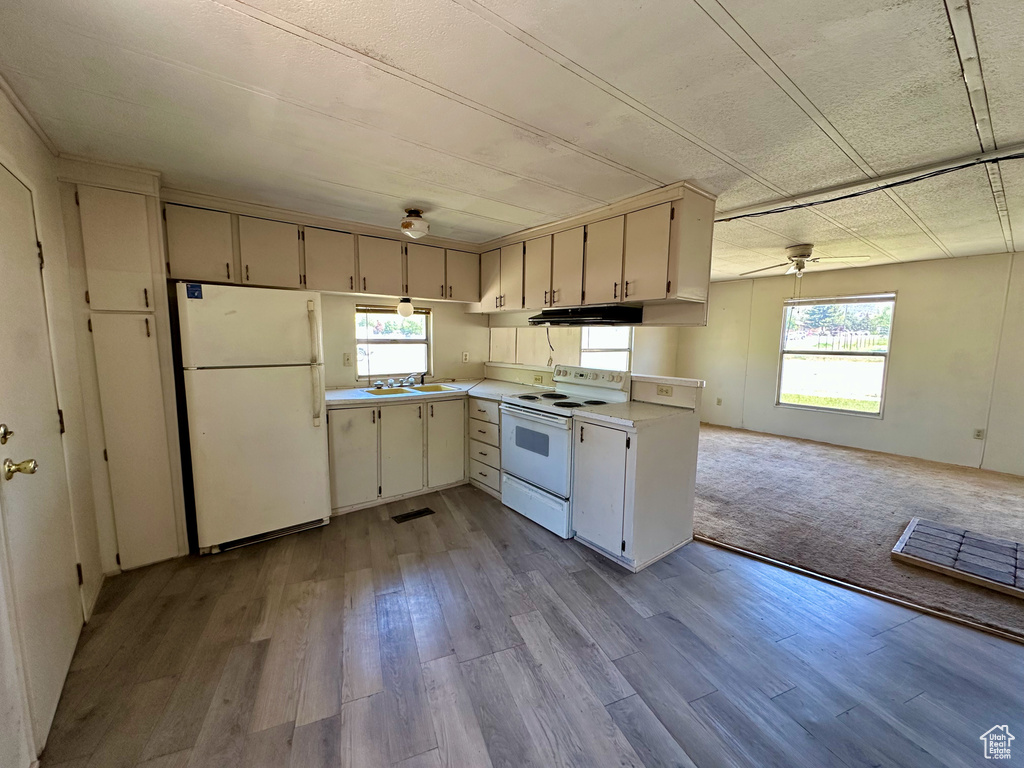 Kitchen featuring white appliances, under cabinet range hood, light countertops, and wood finished floors