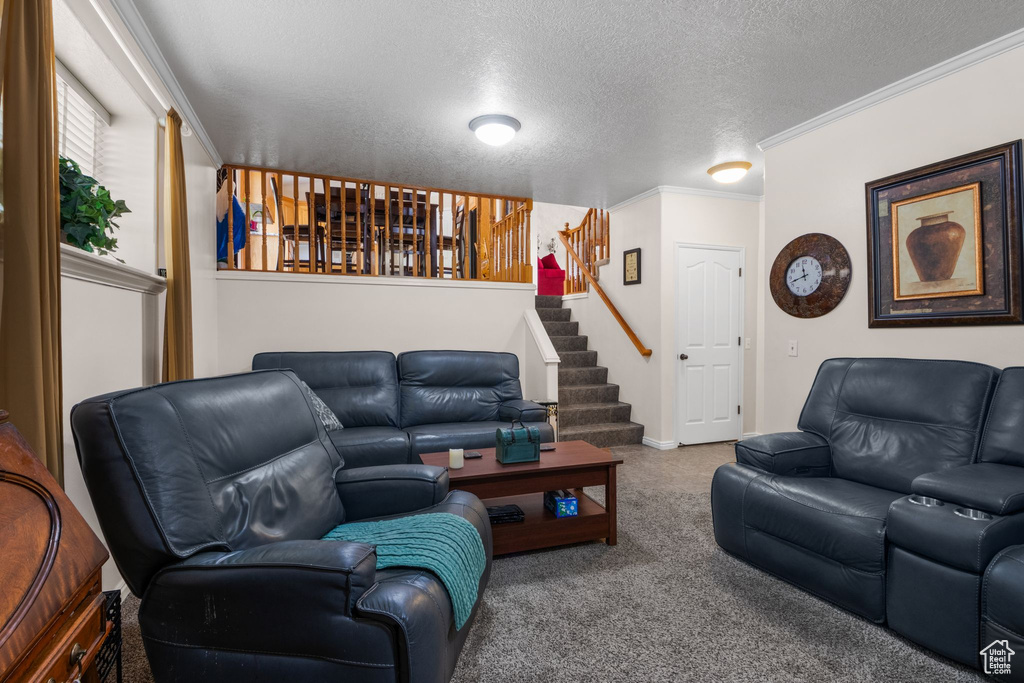 Living area featuring carpet, stairway, ornamental molding, a textured ceiling, and baseboards