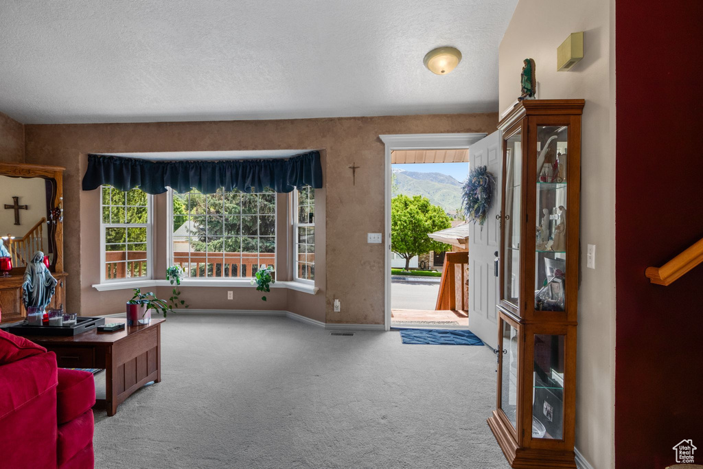 Carpeted entryway featuring healthy amount of natural light, a textured ceiling, and baseboards