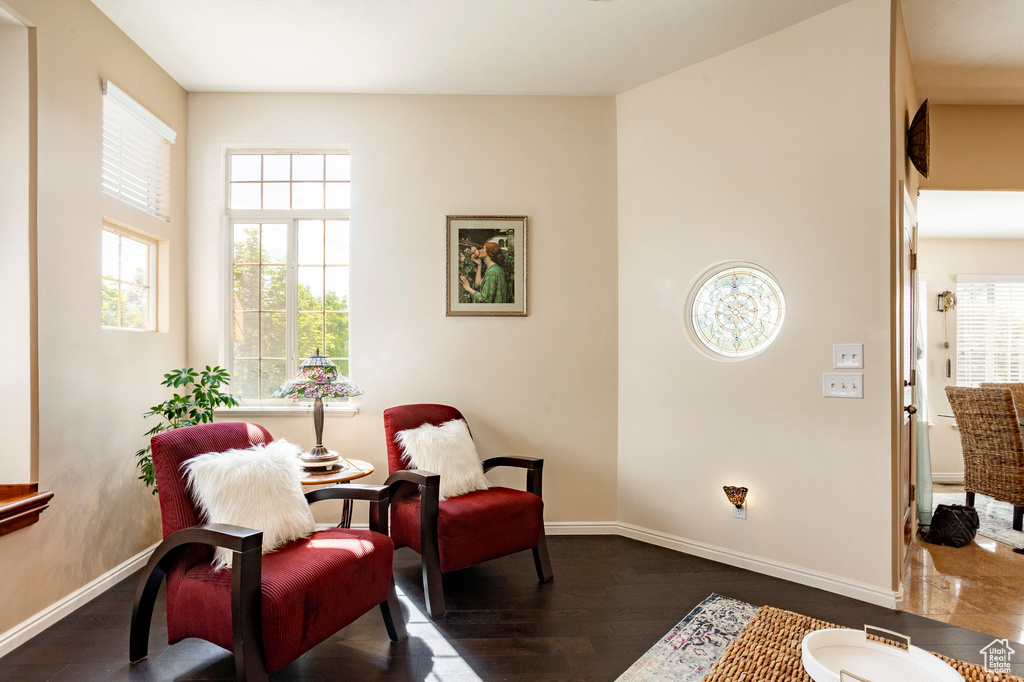 Sitting room featuring dark wood finished floors, plenty of natural light, and baseboards