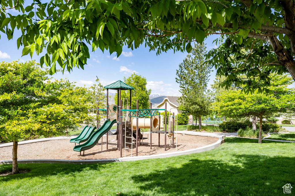 Community jungle gym with a lawn
