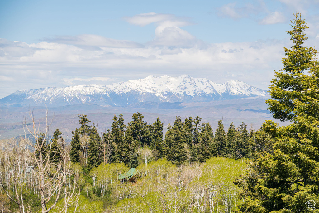 View of mountain background