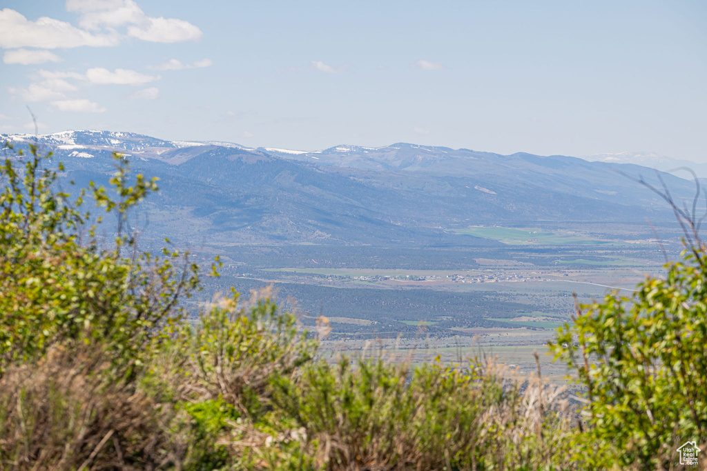 Mountain view