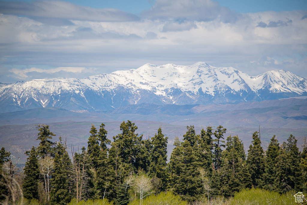 Mountain view