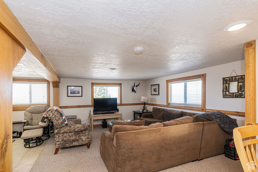 Living room with a textured ceiling and plenty of natural light