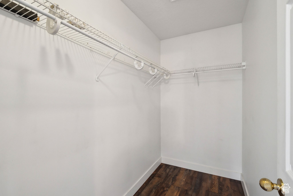 Walk in closet with dark wood-style floors