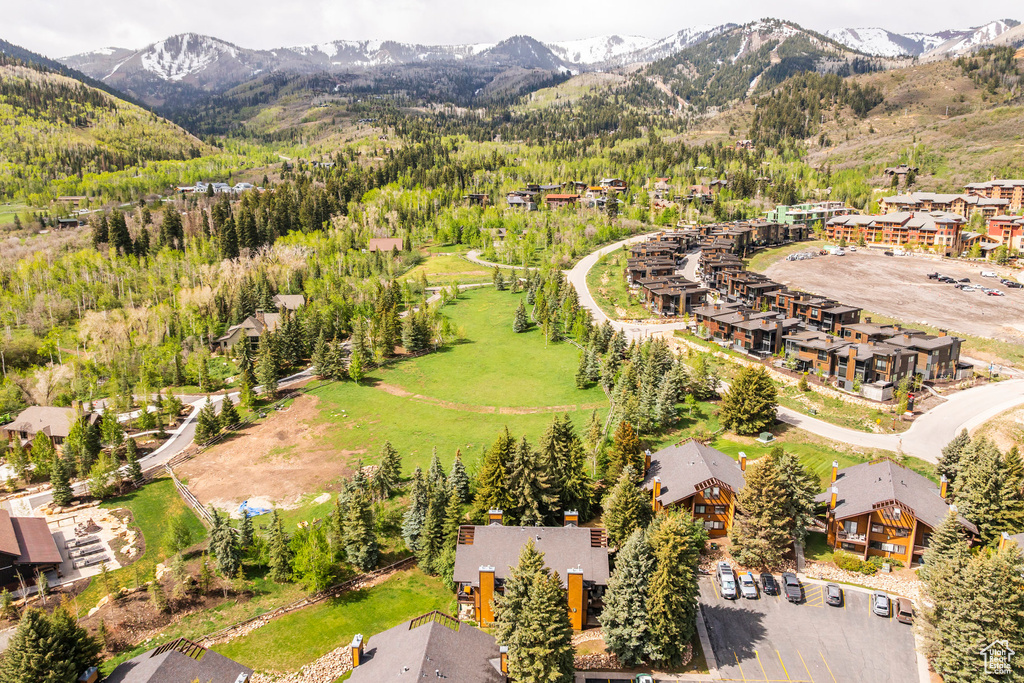 Bird's eye view of a mountain backdrop