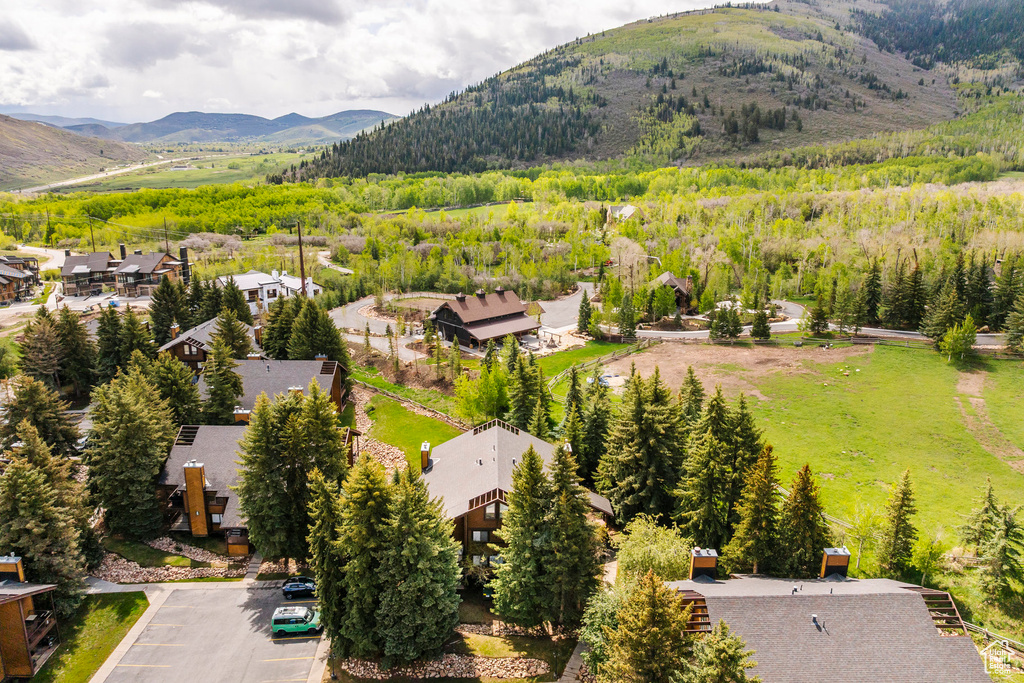 Aerial view of residential area with mountains and a heavily wooded area