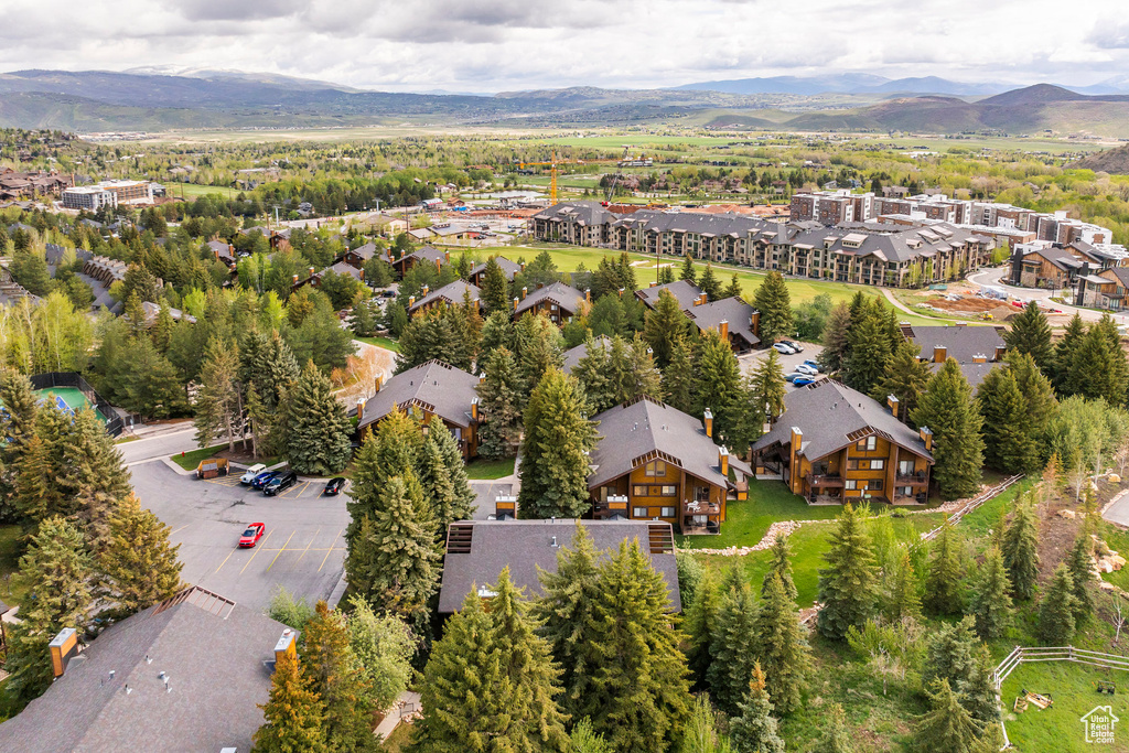 Bird's eye view of mountains