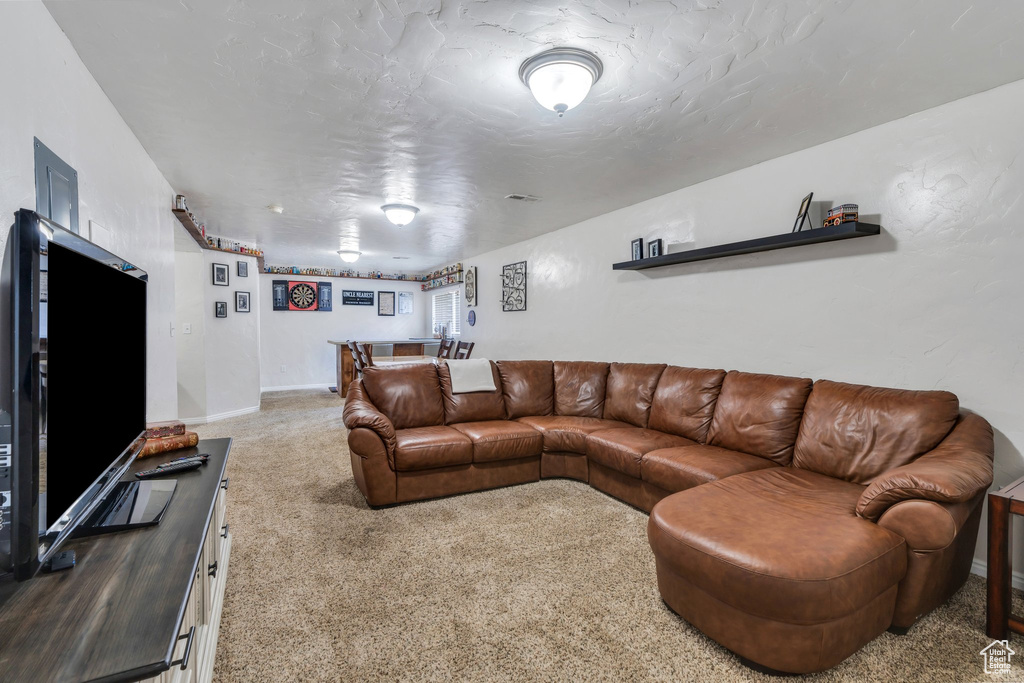 Living room featuring carpet floors