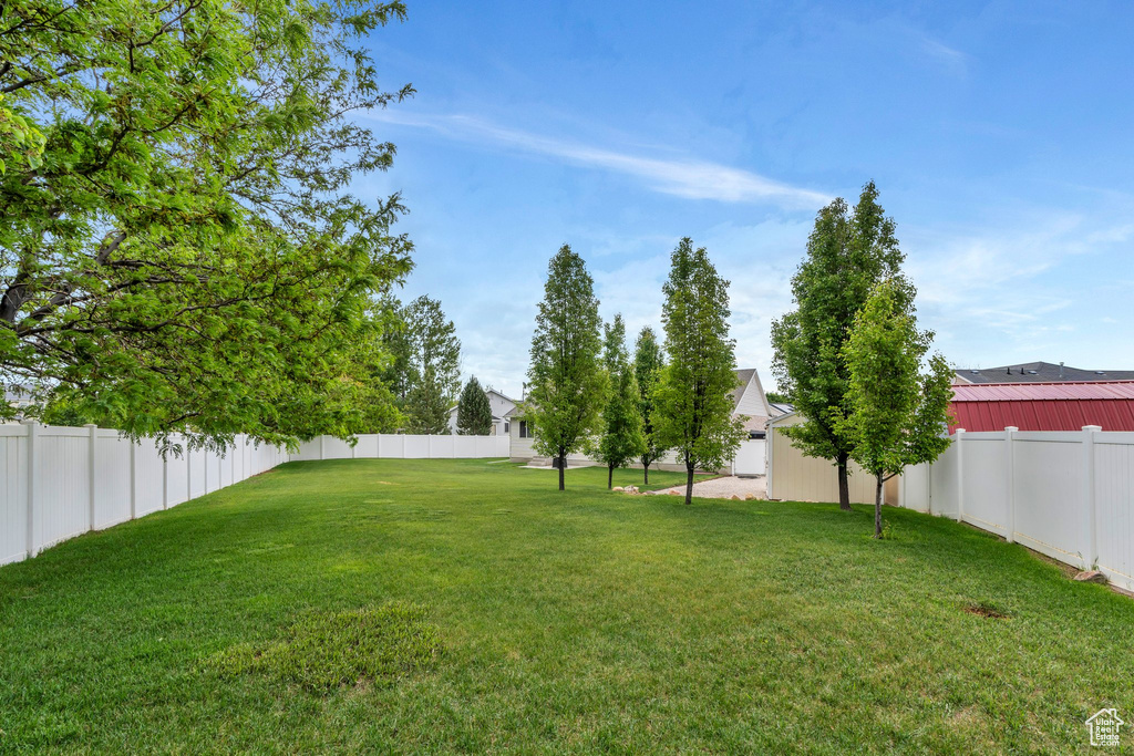 View of yard