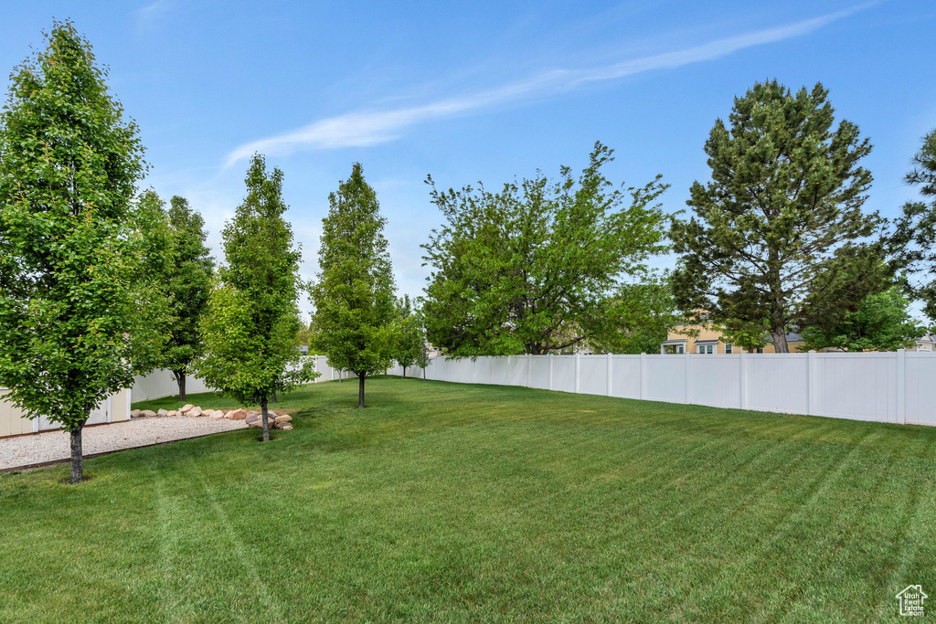 View of yard