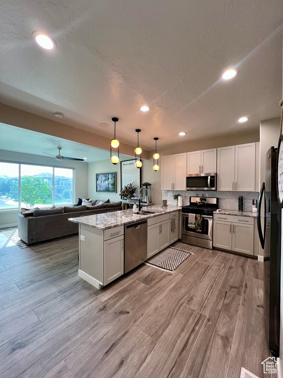Kitchen with stainless steel appliances, a peninsula, open floor plan, light wood-type flooring, and recessed lighting