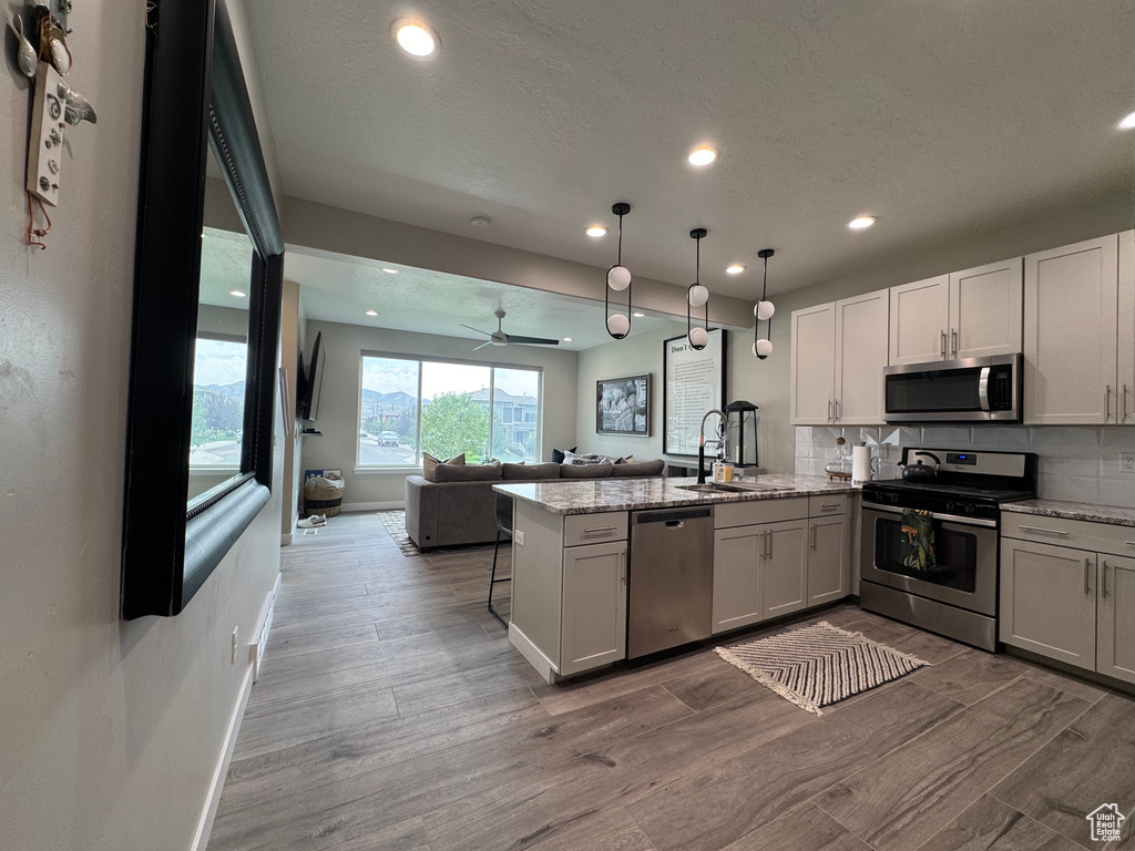 Kitchen featuring appliances with stainless steel finishes, recessed lighting, a peninsula, open floor plan, and light wood-style flooring